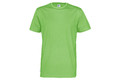 cottover t paita 141008 645 teernec men f green preview
