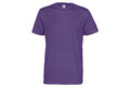 cottover t paita 141008 885 teernec men f purple preview