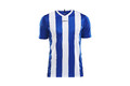 craft progress jersey stripe pelipaita 1905562 1345 progress jersey stripe men f