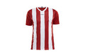 craft progress jersey stripe pelipaita 1905562 1430 progress jersey stripe men f